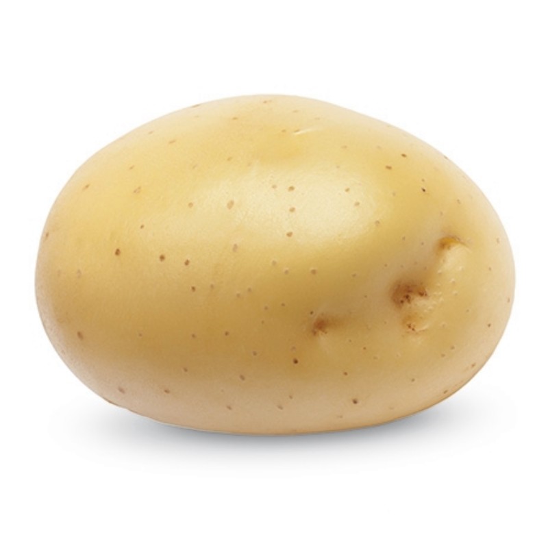 Картофель Примабелль/Очень ранний Картофель Примабелль/Очень ранний - Dolina-Sad.Ru