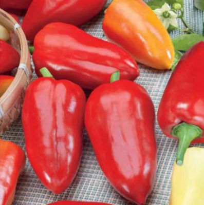 Перец Здоровье фото