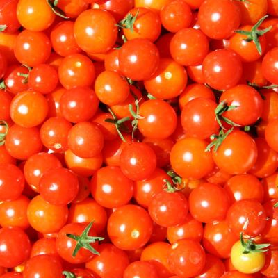 Томат Помисолька, черри автор. Томат Помисолька, черри автор. - Dolina-Sad.Ru
