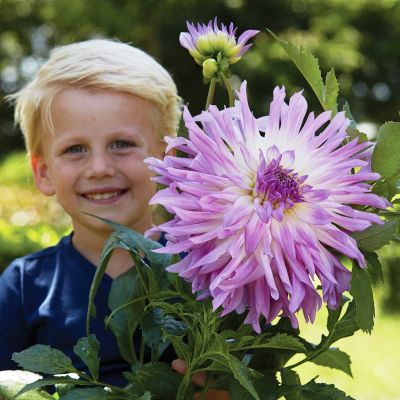 Георгина Мингус Рэнди Георгина Мингус Рэнди фото