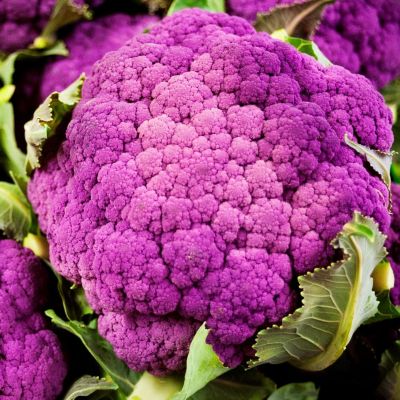 Капуста цветная Пурпурная фото