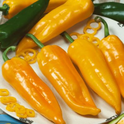 Перец острый Золотничок (А) Перец острый Золотничок (А) фото