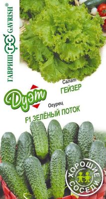 Салат Гейзер + Огурец Зеленый поток Салат Гейзер + Огурец Зеленый поток фото