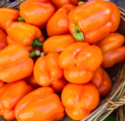 Перец Оранжевое чудо Перец Оранжевое чудо фото